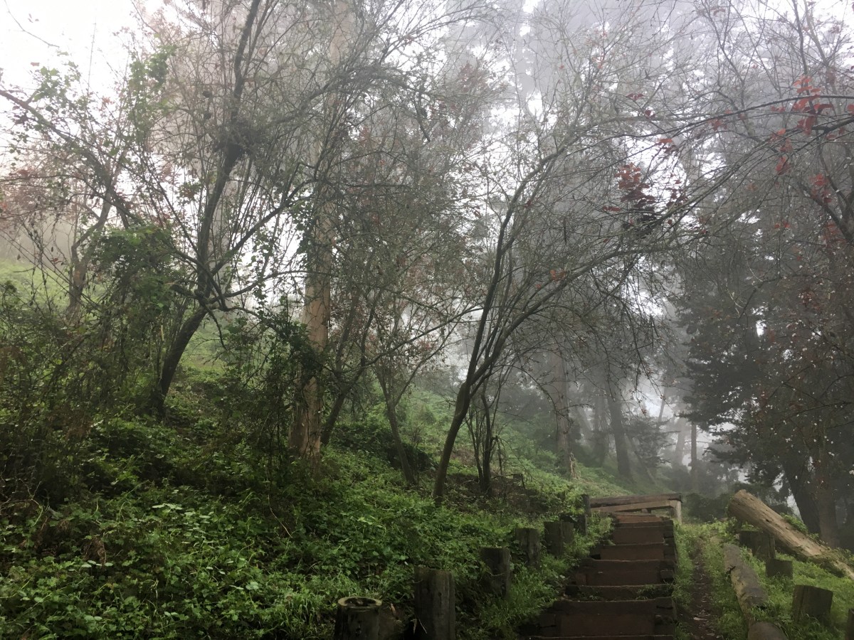 The Prayer – Conversations While Running Twenty&nbsp;Miles