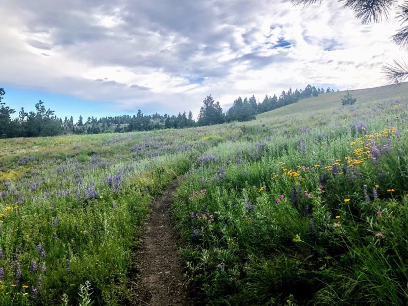 Under the Big&nbsp;Sky